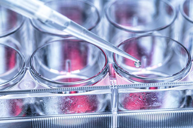 biotherapy1-(1).jpg biotherapy cell therapy