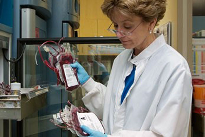 storing-blood-components2.jpg storing blood components